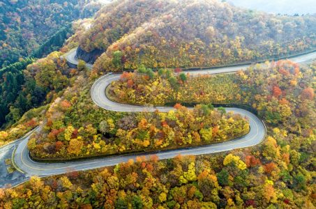 20181105_ドライブウェイの紅葉空撮・11.0km付近・標高850m付近）-1000x662